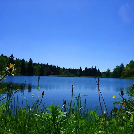 Harzfewo Koehnke 5 Appartamento Goslar