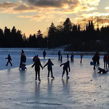 Harzfewo Koehnke 5 * Goslar