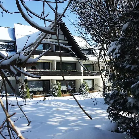 Koehnke 5, Harzhahnenklee, 1-2 Pers Apartment Goslar