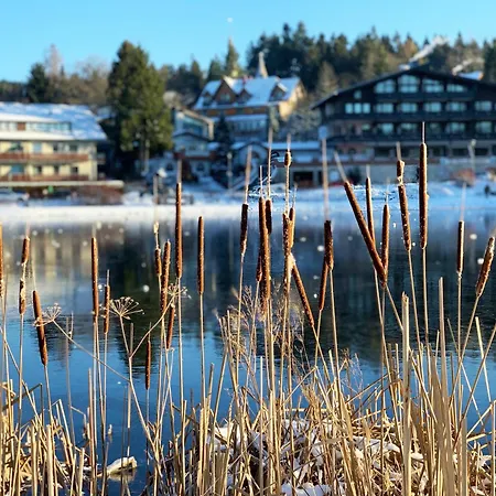 Harzfewo Koehnke 5 Appartamento